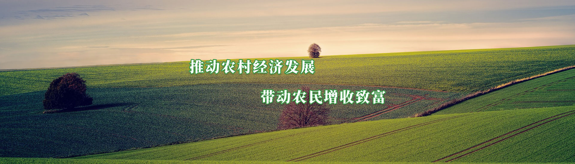 31399金沙娱场城(中国)有限公司官网