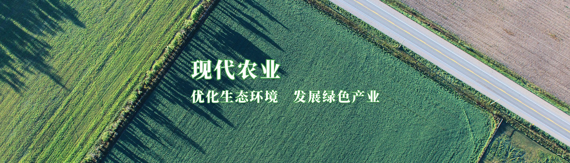 31399金沙娱场城(中国)有限公司官网