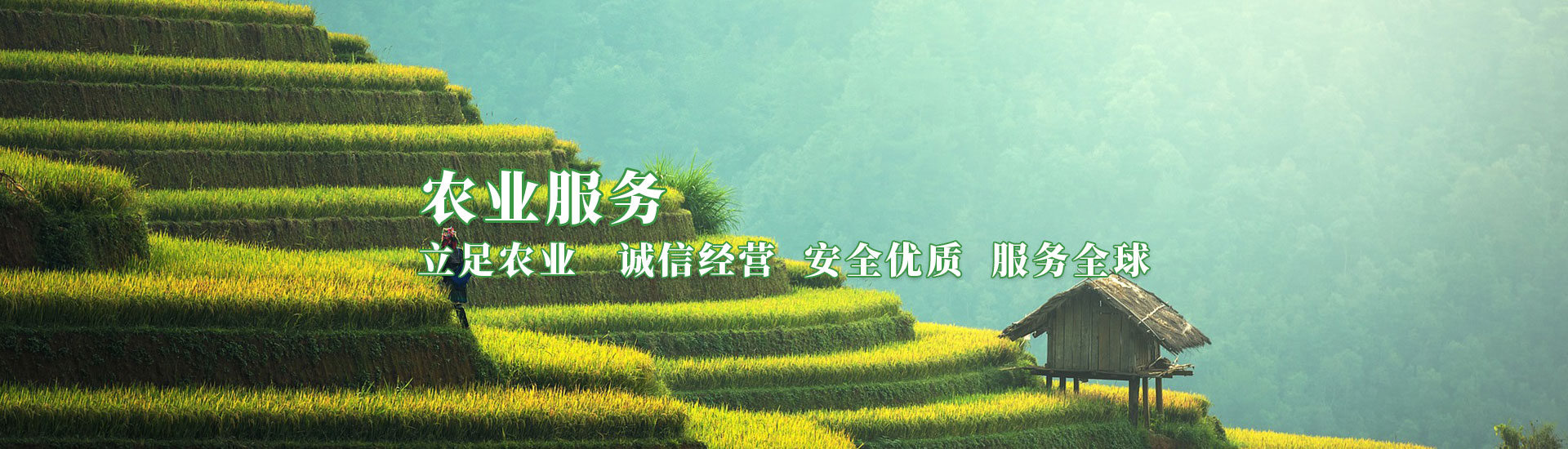 31399金沙娱场城(中国)有限公司官网