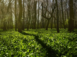 访农户，，，，，，送手艺！ “中国农资”现代农业服务团队助力秋粮生产