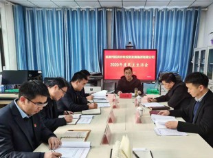 31399金沙娱场城 召开2020年度向导班子民主生涯会