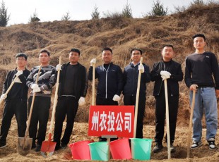 31399金沙娱场城加入2021年春季义务植树活动