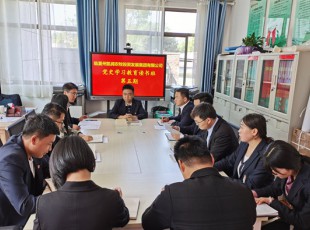 31399金沙娱场城  举行党史学习教育第五期念书班