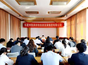 31399金沙娱场城  召开党史学习教育专题向导