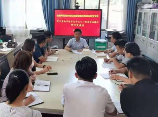 31399金沙娱场城 召开学习贯彻习近平总书记七一主要讲话精神 钻研交流会